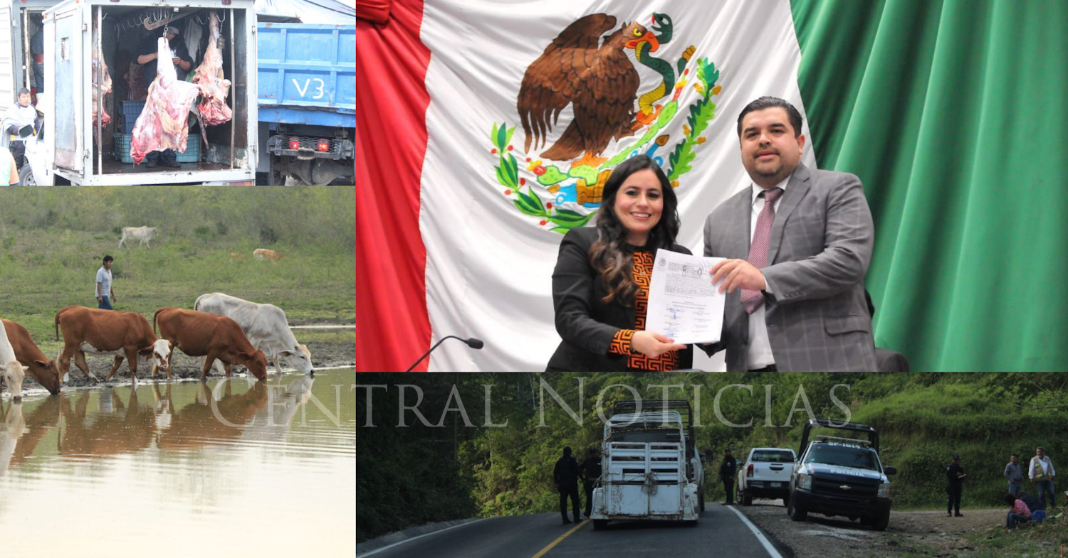 em>Diputado Roberto San Román presentó iniciativa en materia de abigeato;  sin beneficios para obtención de libertad</em>